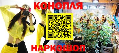 прущие грибы Моздок