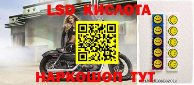 прущие грибы Моздок